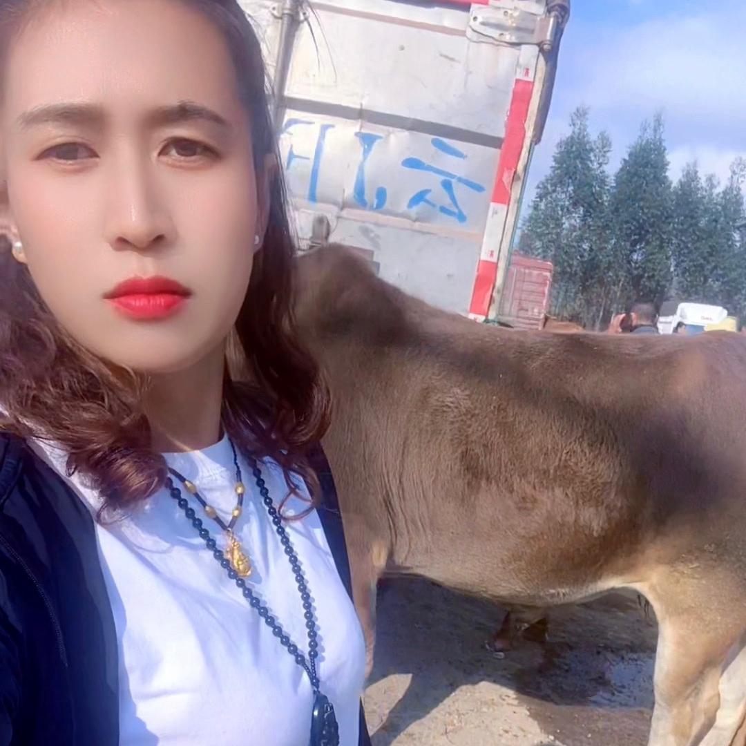 单身小婆娘