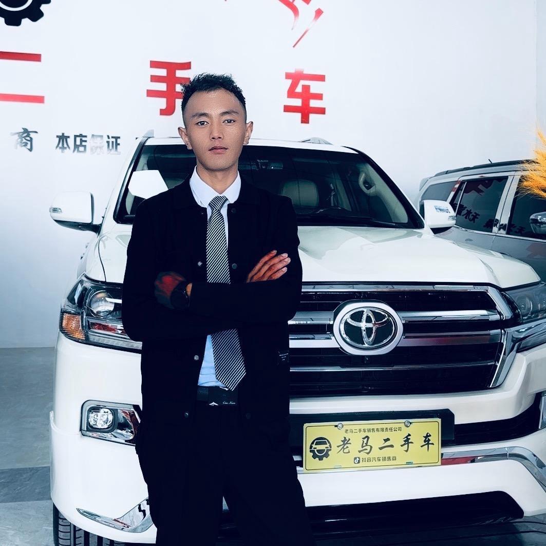 拉萨堆龙二手车（拉次）