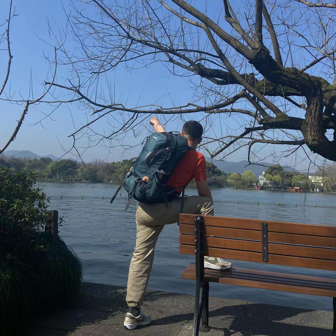 秋风带走了几片落叶