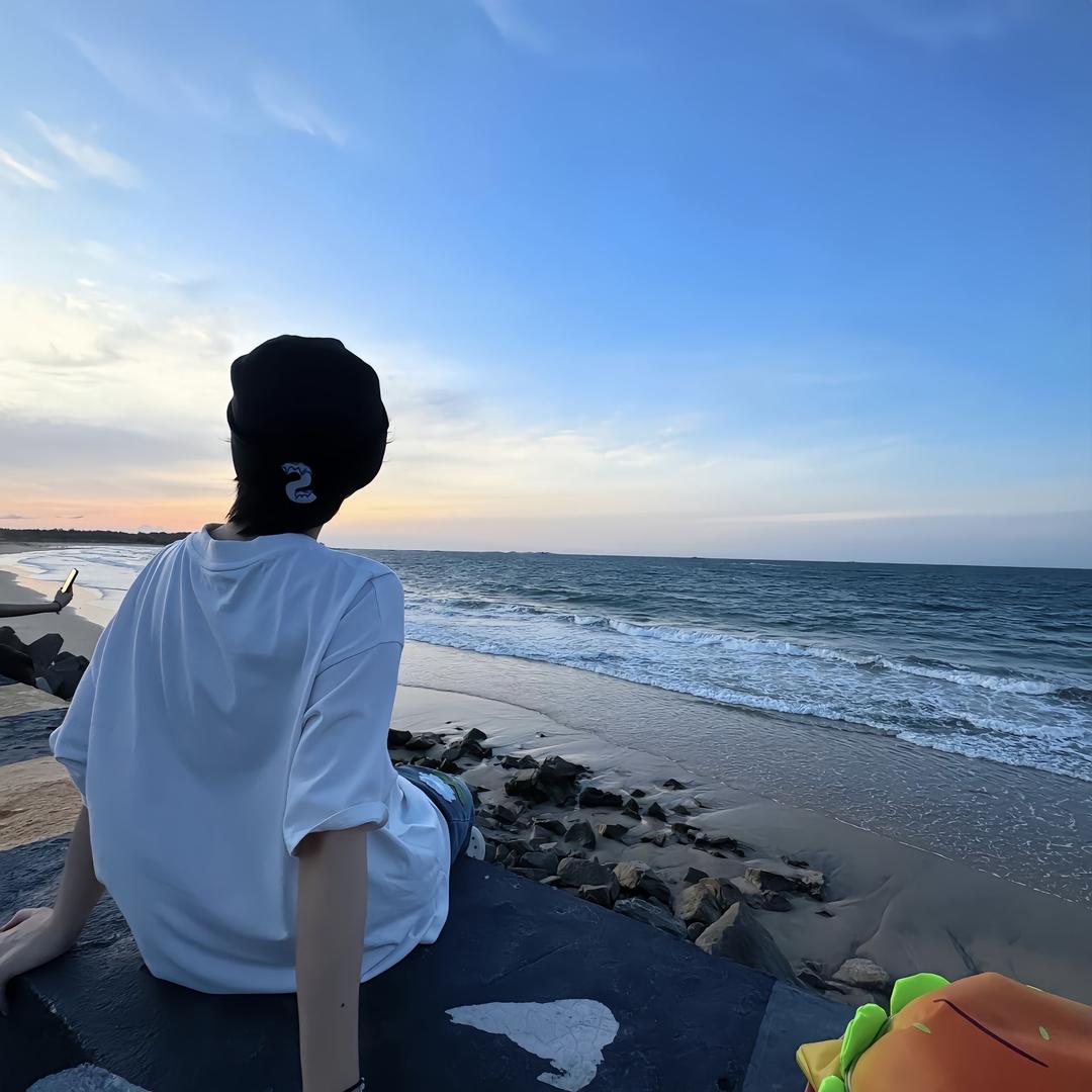 昭阳¹