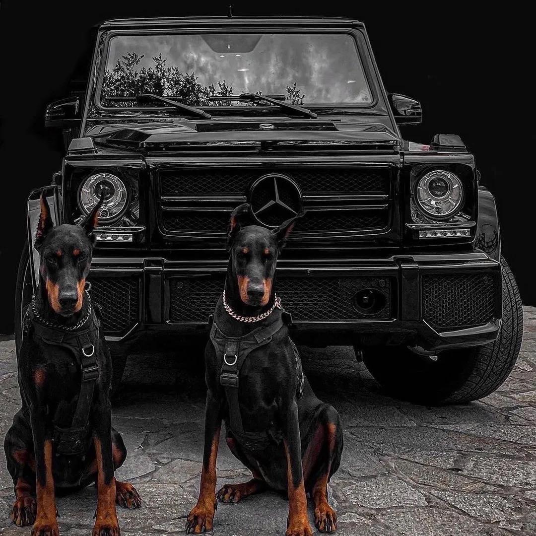 溪亦二手车批发