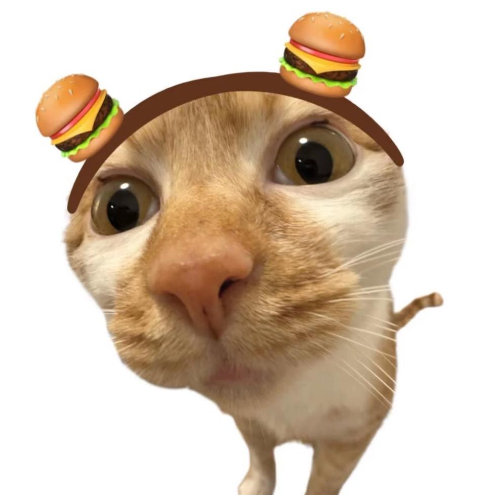 🐟