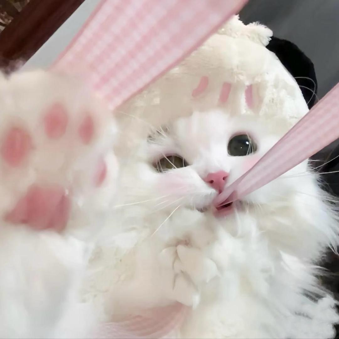小u