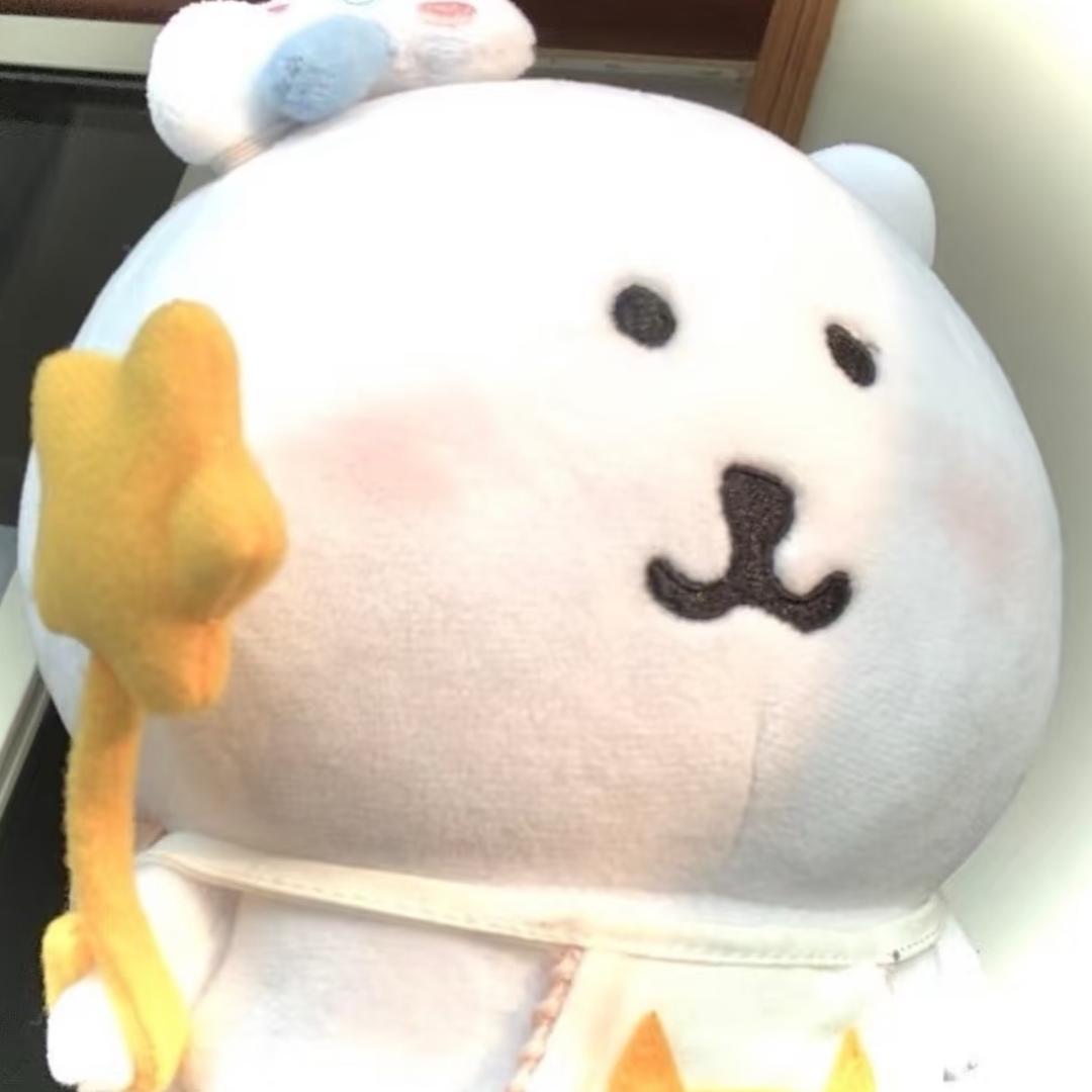 卖女孩的小火柴🥥