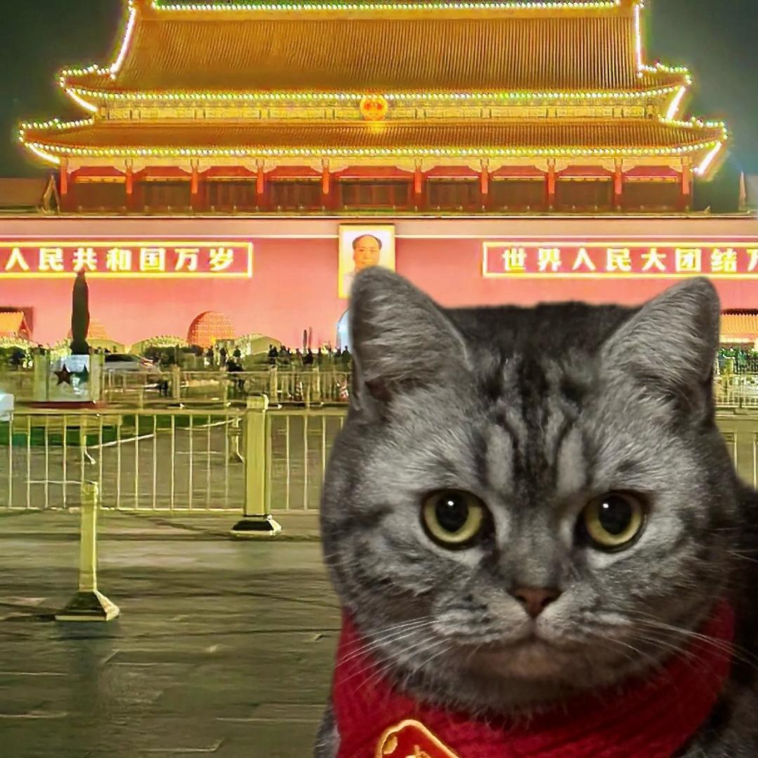 拌拌拌吃吃吃