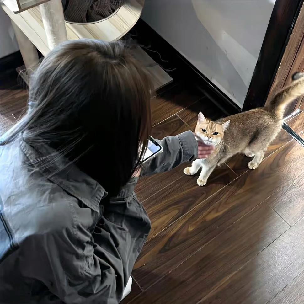 @@丫头