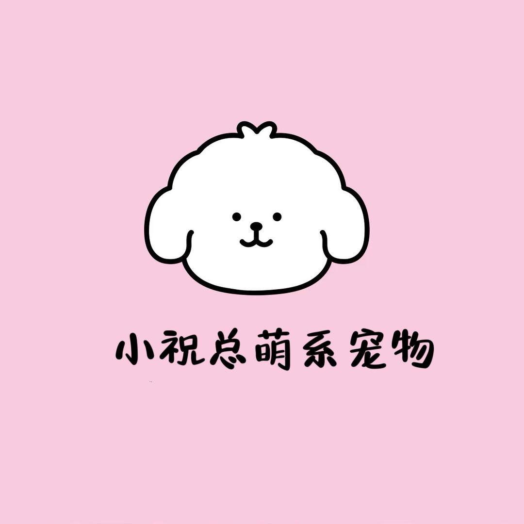 小祝总的萌系宠物