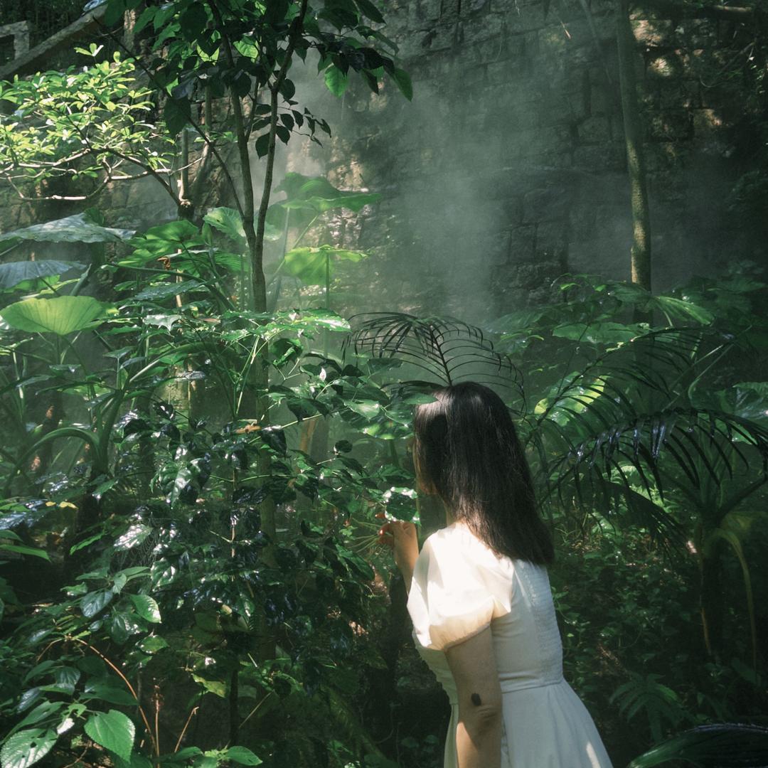 小董小董