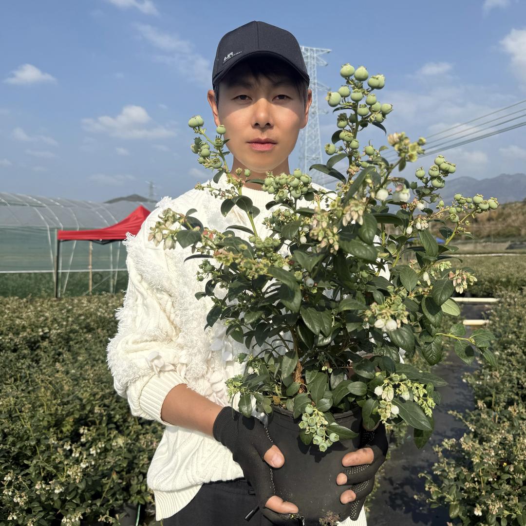 逸哥果树苗基地