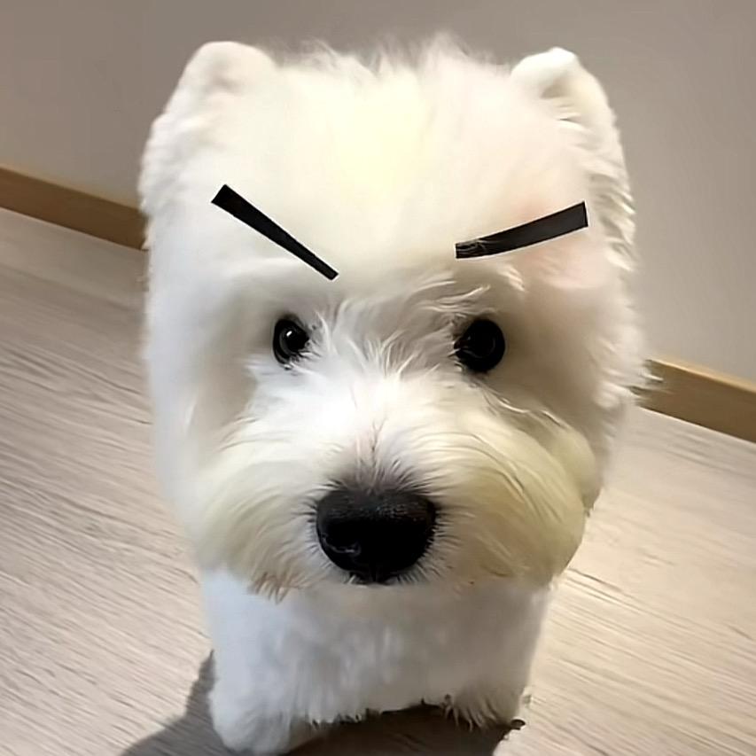 仁措