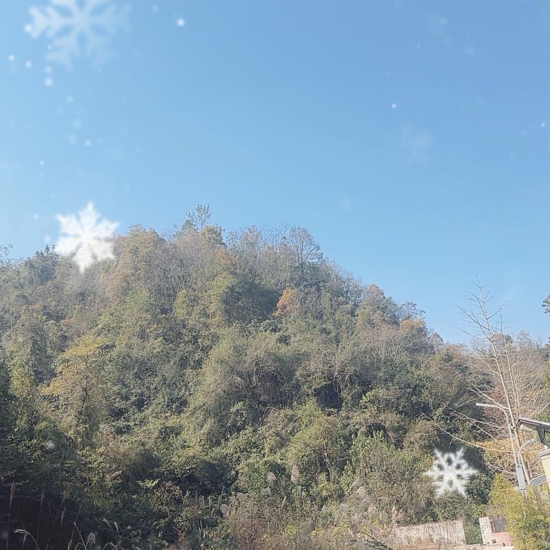 相亲相爱一家人