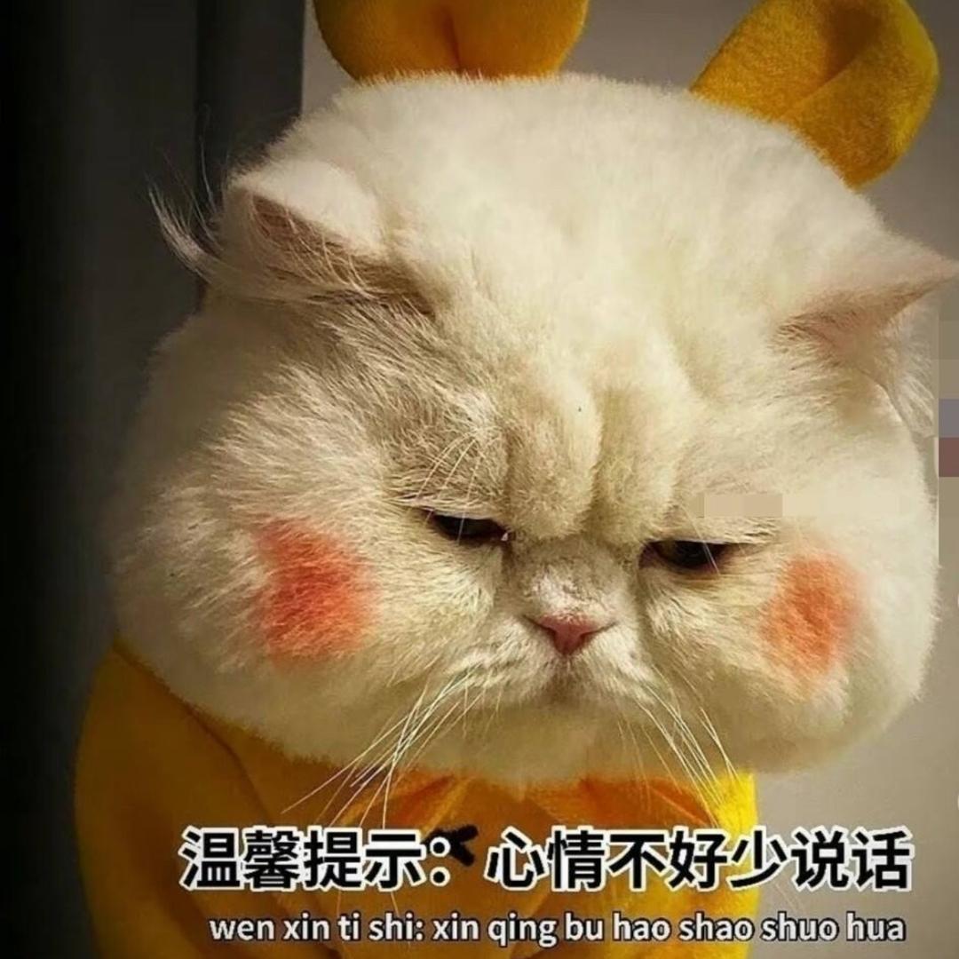 【官方】有趣的灵魂