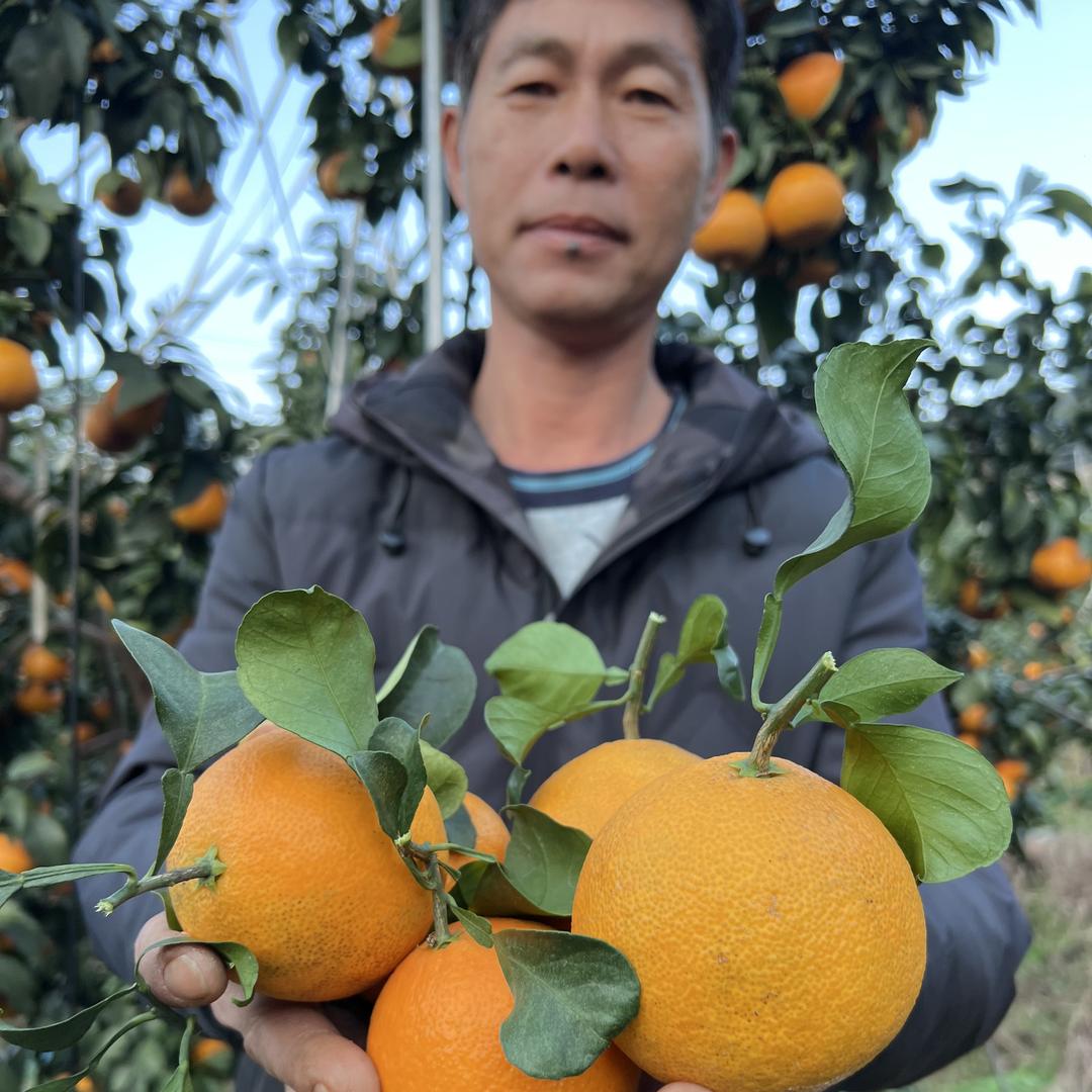 福州天成农业鲜果