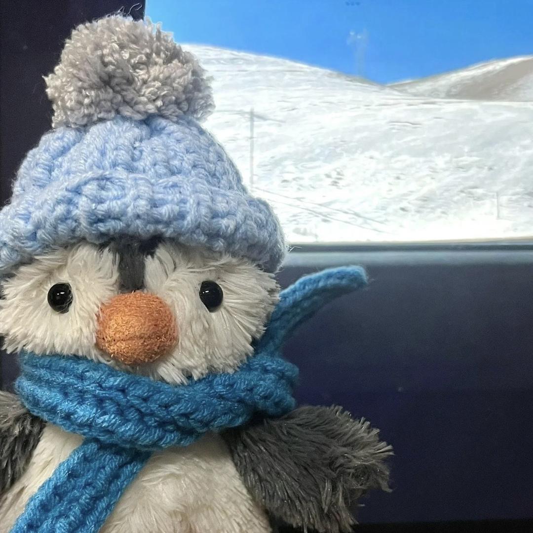 拉不出屎我很抱歉