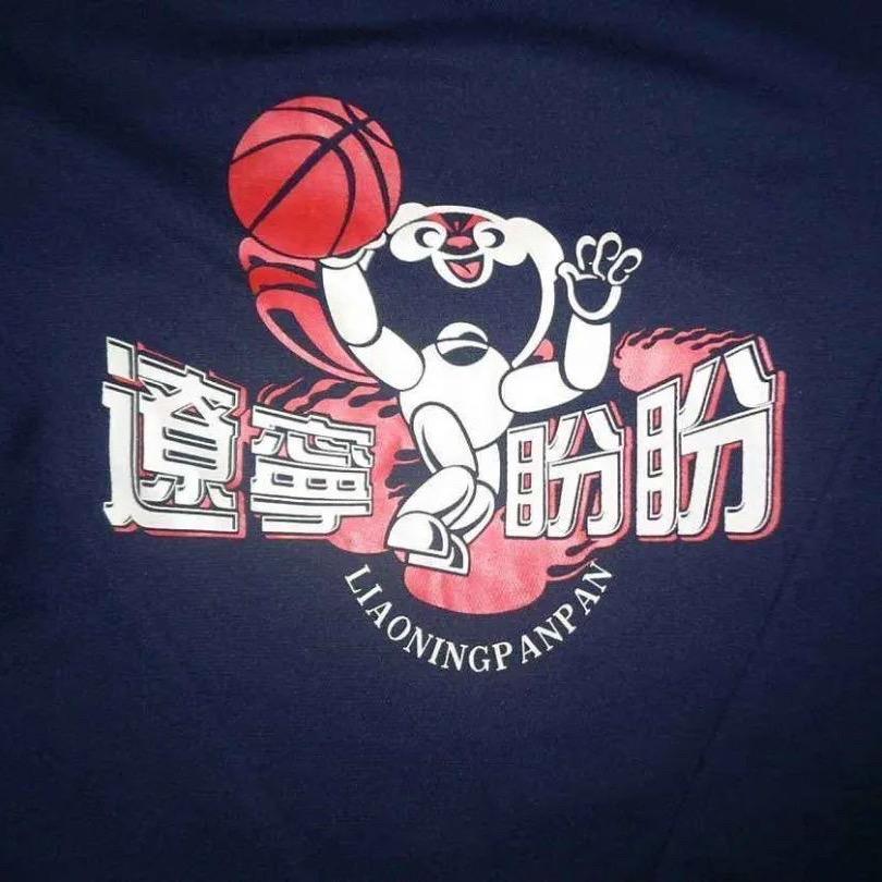 爱辽篮的小磊