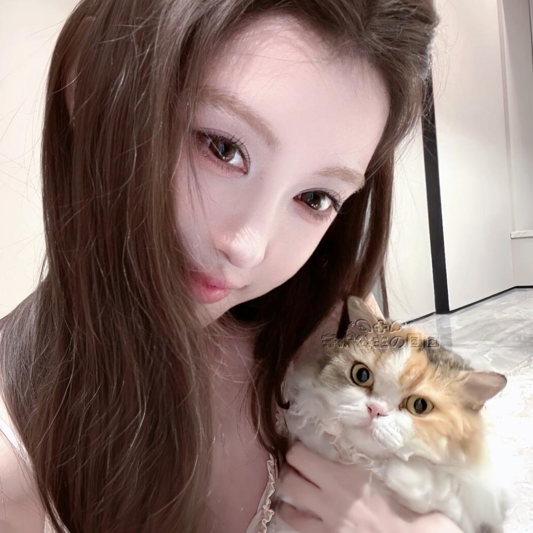 绮