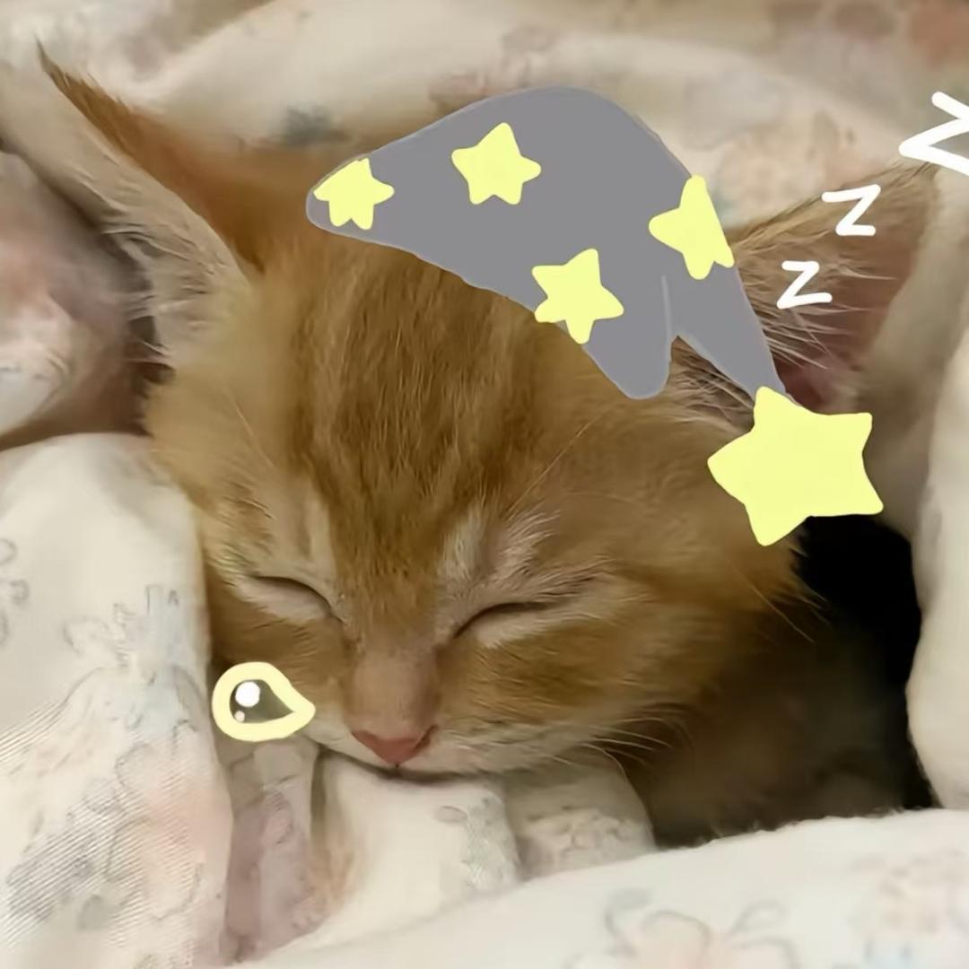 谭芊