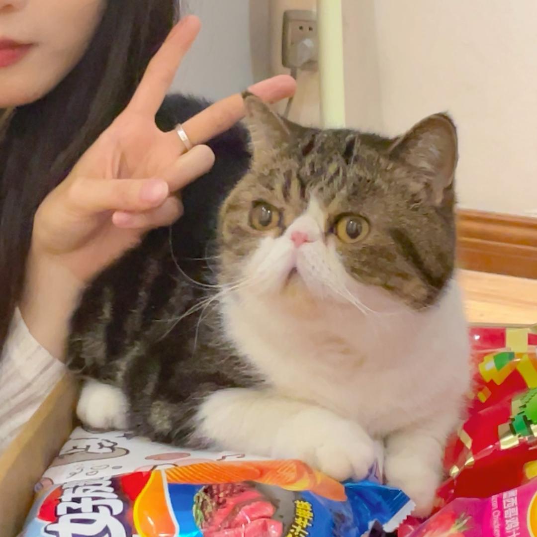 汤小咪酱