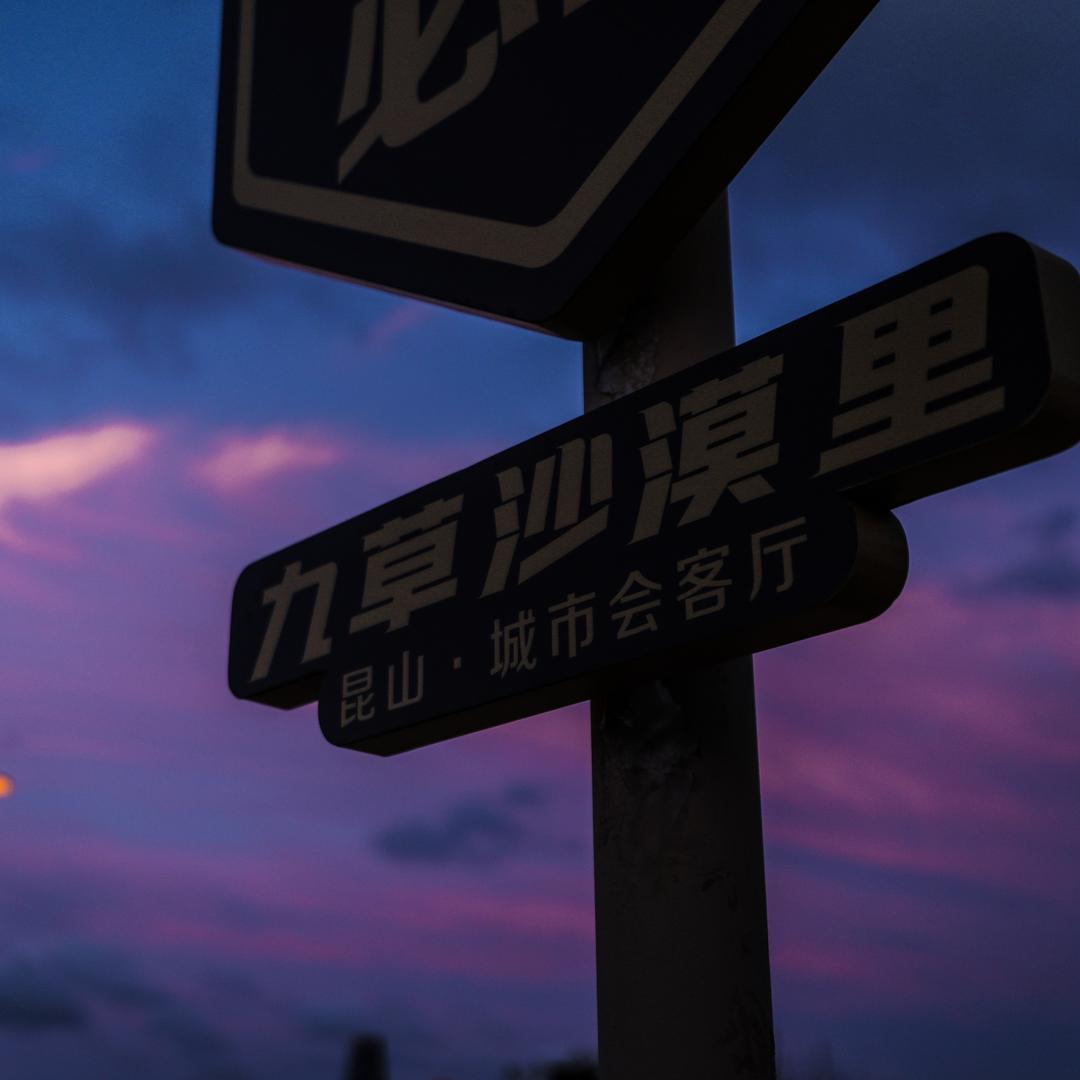 九草沙漠里｜春风