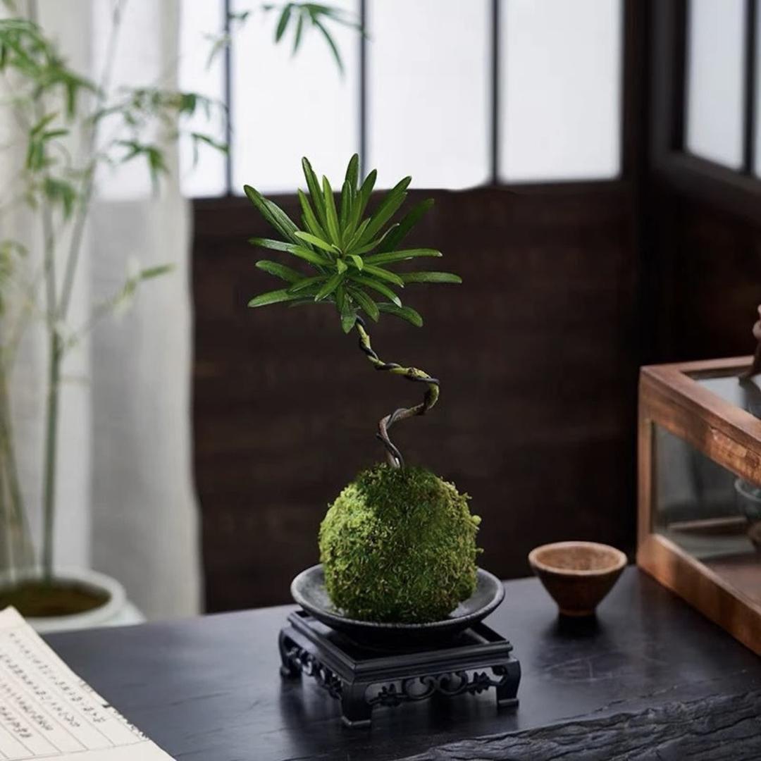 颜植花卉供应链