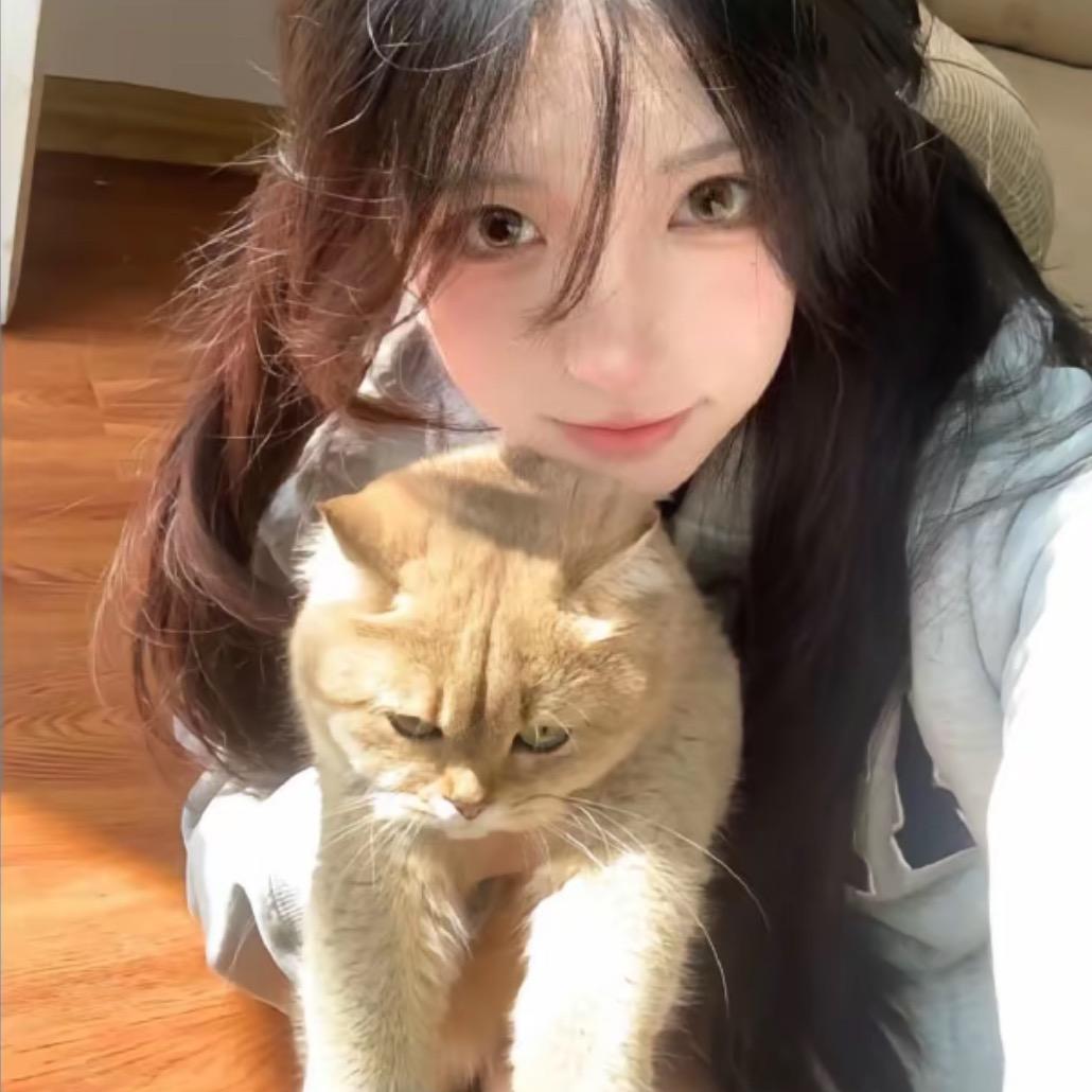 小鲨鱼