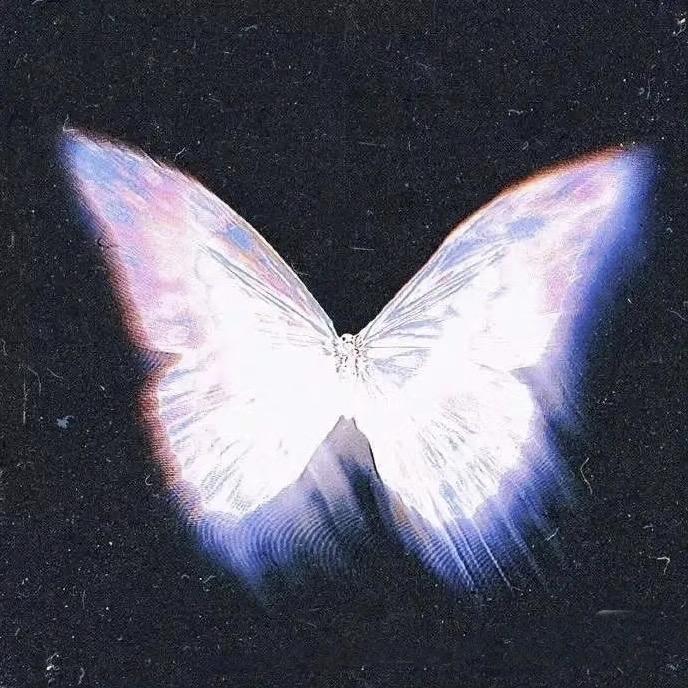 思念🦋