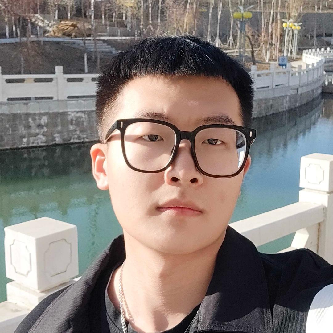 龙龙是只猫