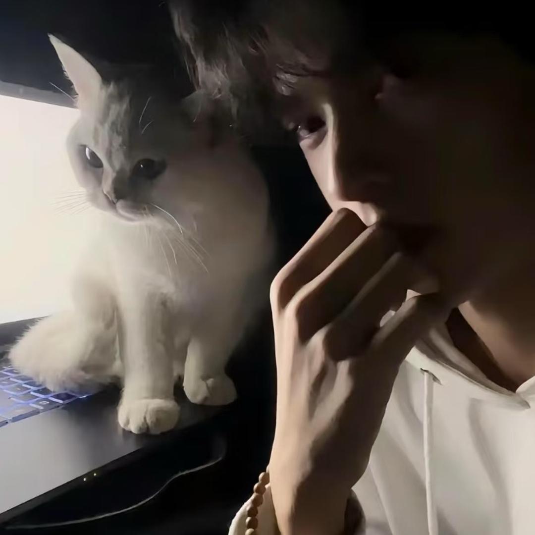 注册中