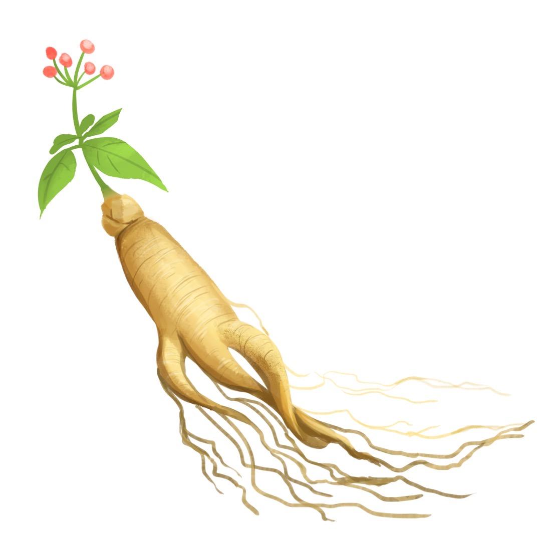 吉林鹿乡美名扬