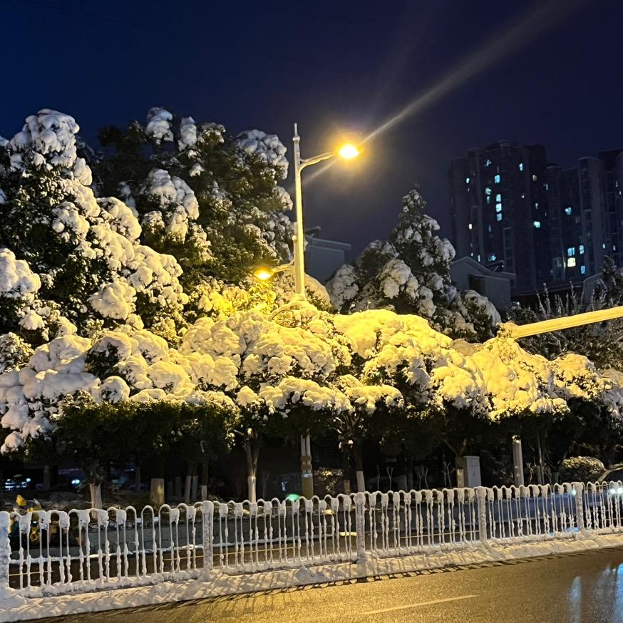小石头的石头