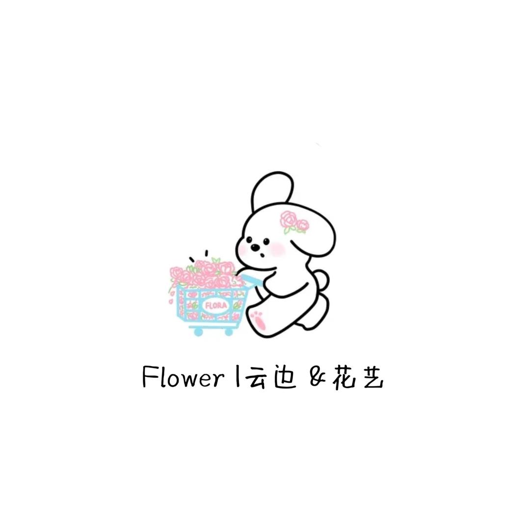 云边花艺|蚌埠花店