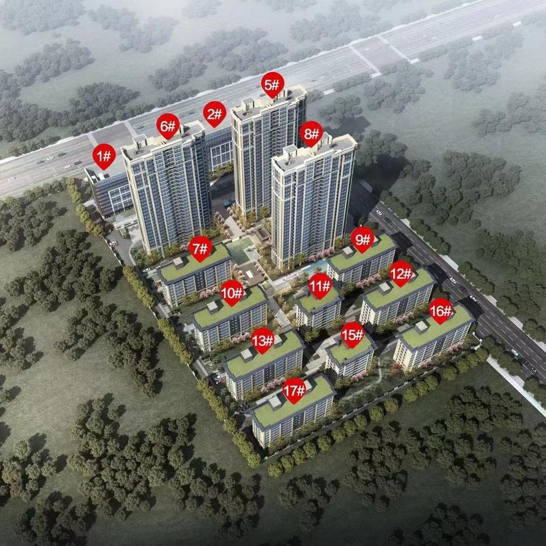 和兴金尊府-张奇奇