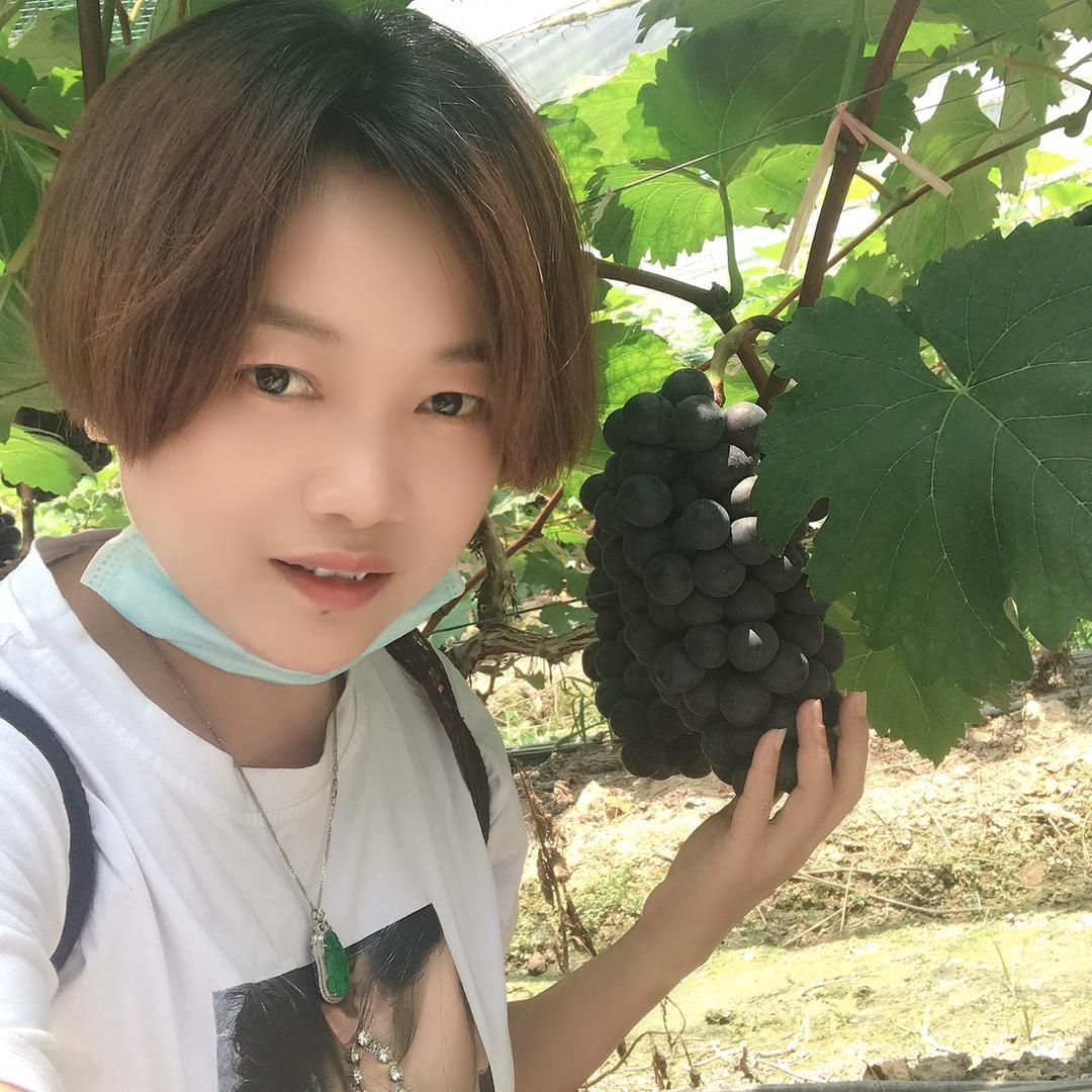 杨桃妹