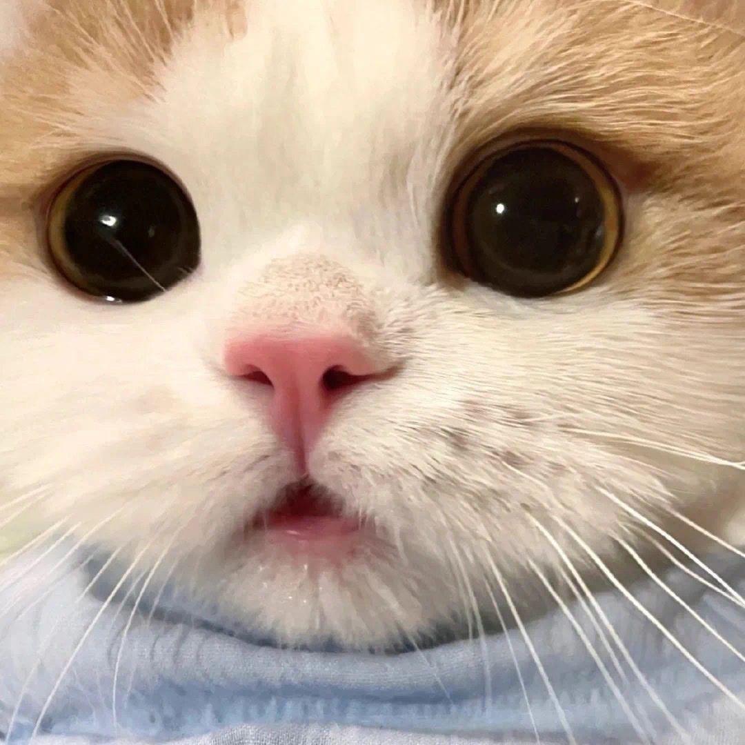 一半白云