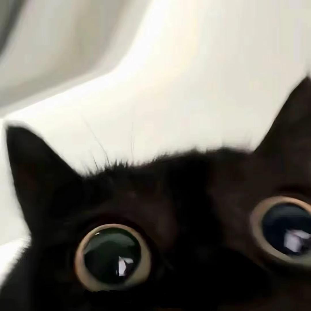 ·.