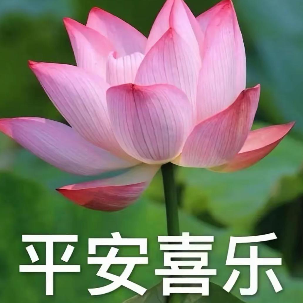花开富贵花