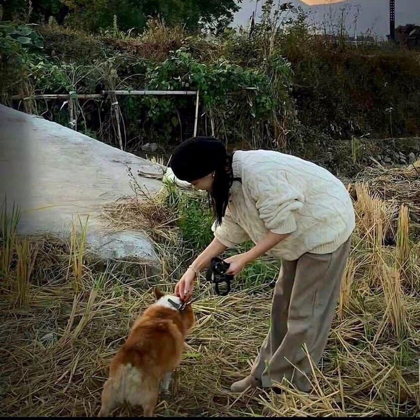 蓉蓉老师早教派对