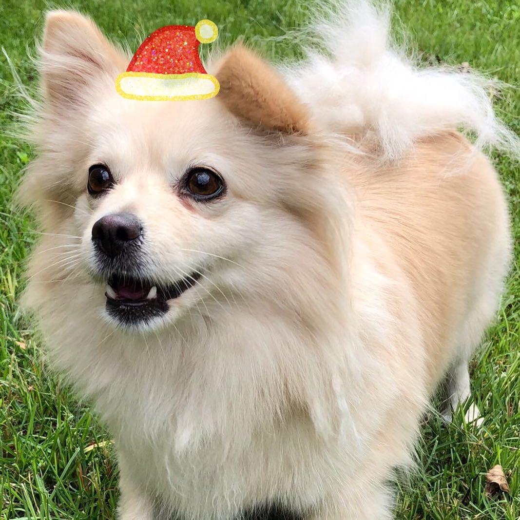 !^_^！