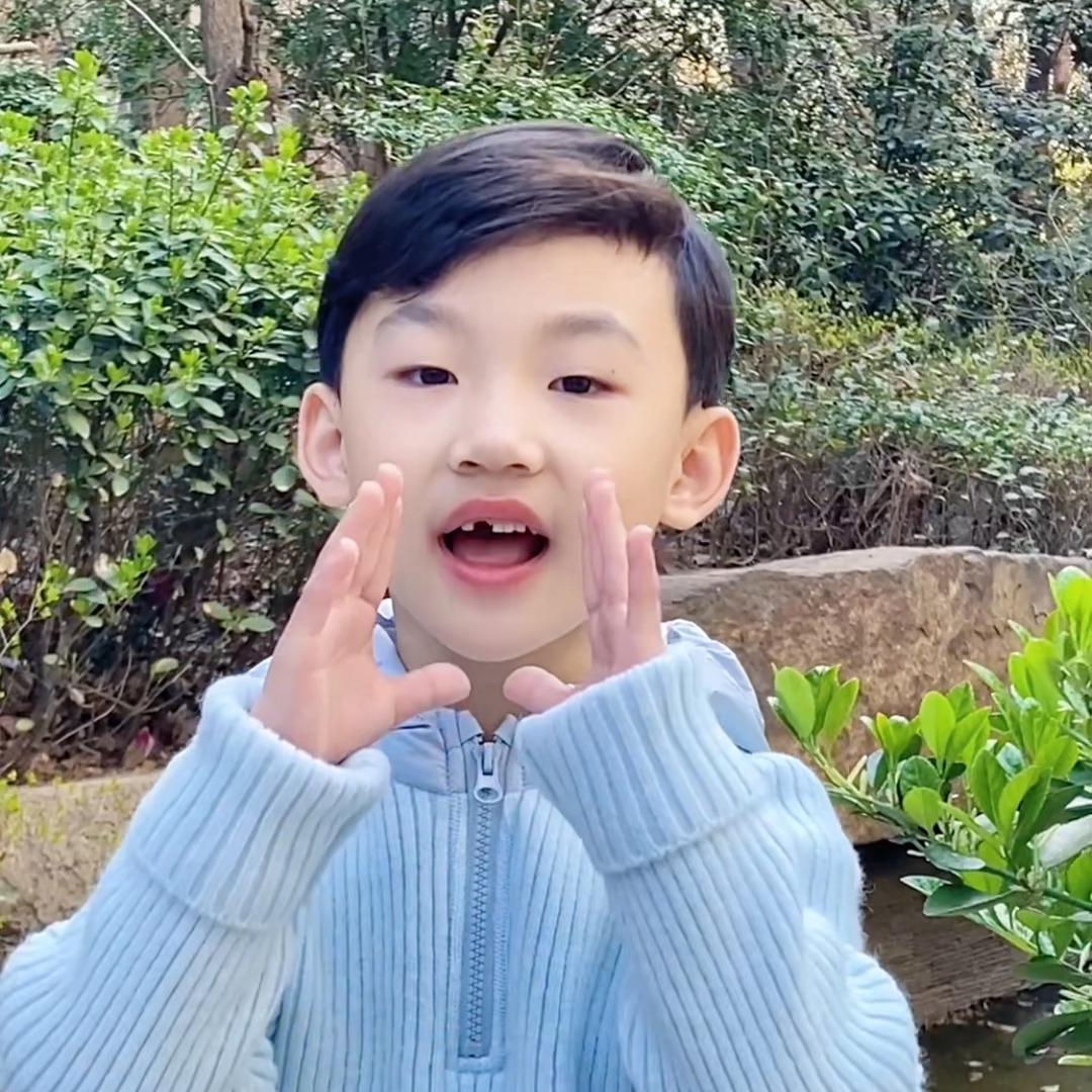 少年鲤鱼