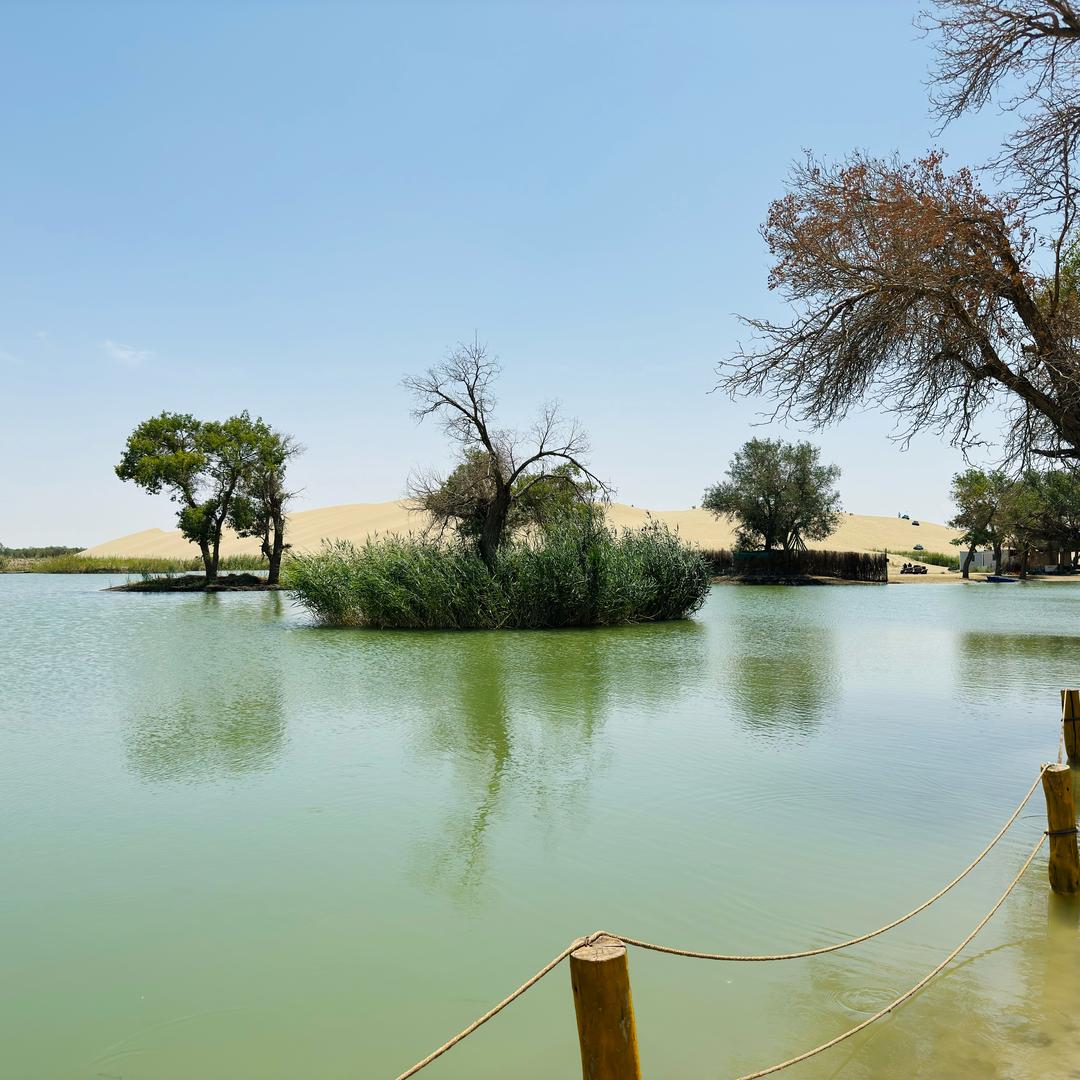 🥀山山✨而川☘️