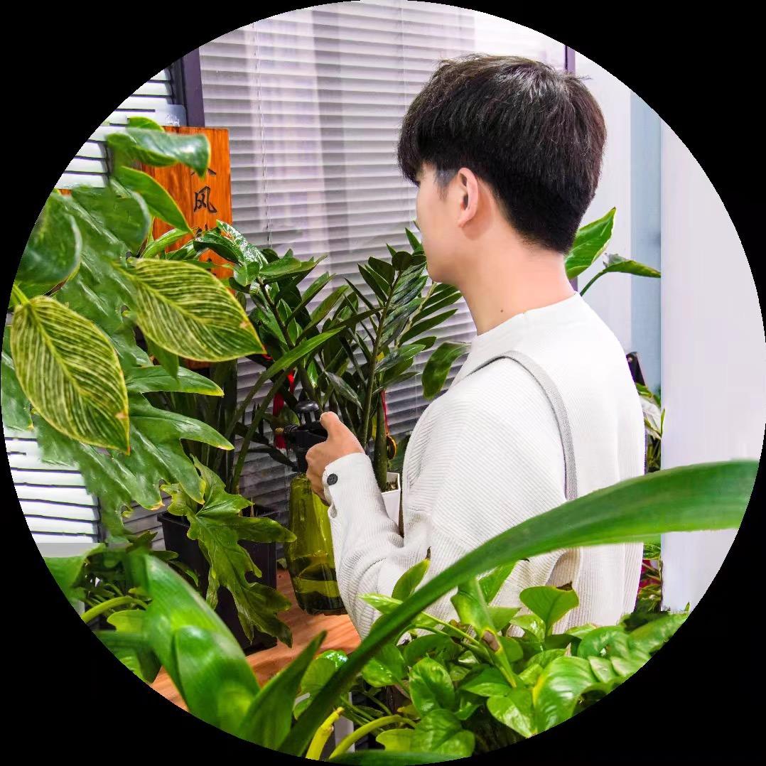上甫绿巨人