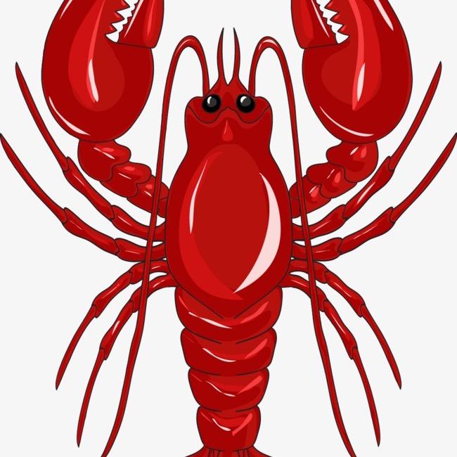 大龙虾