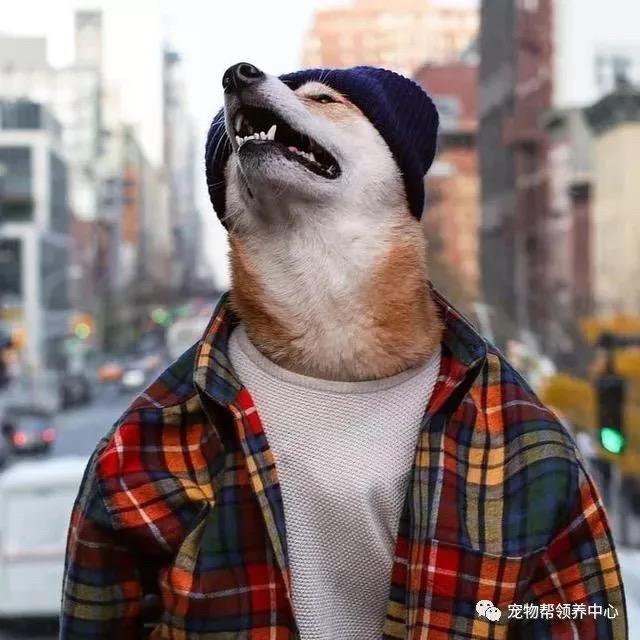徐老师儿🐯头像