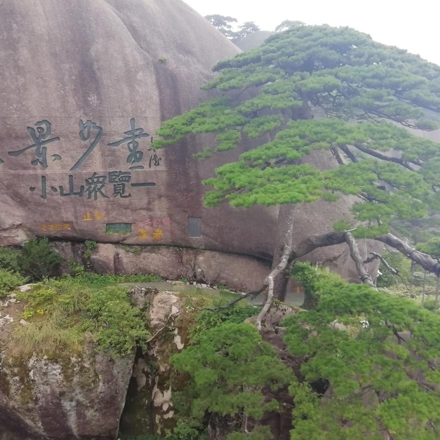 忘情水