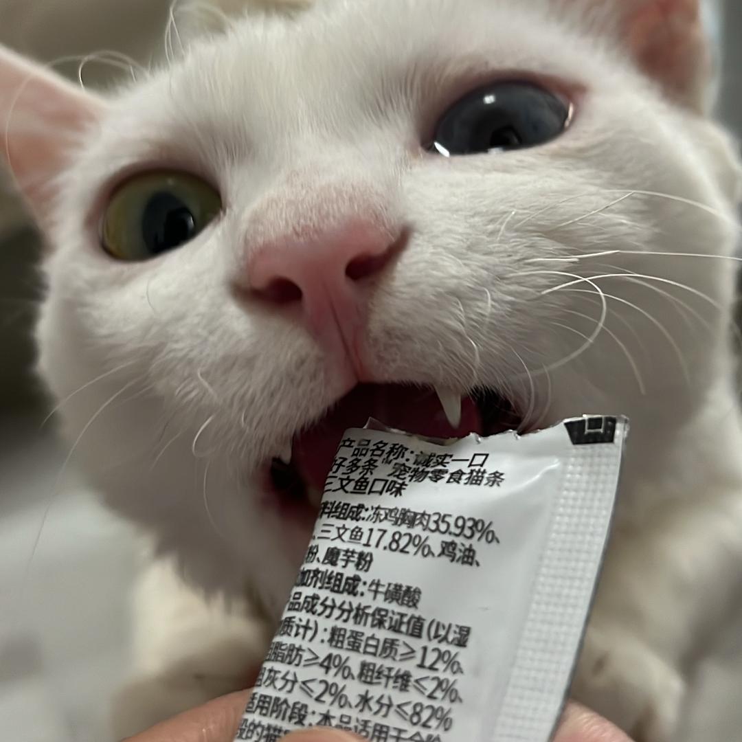 1106