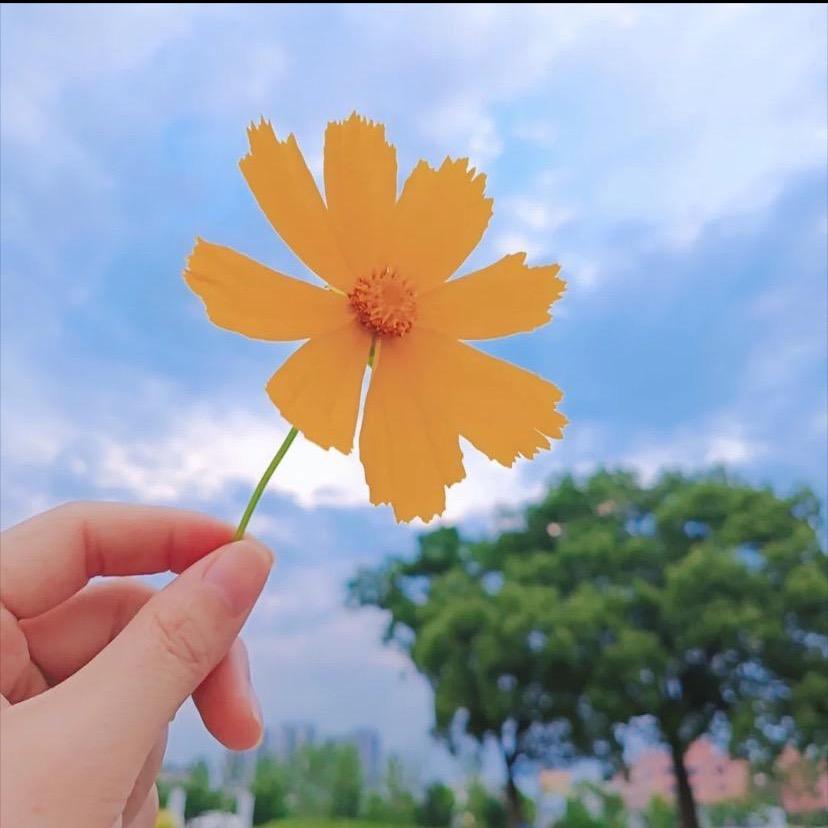 @红红音乐
