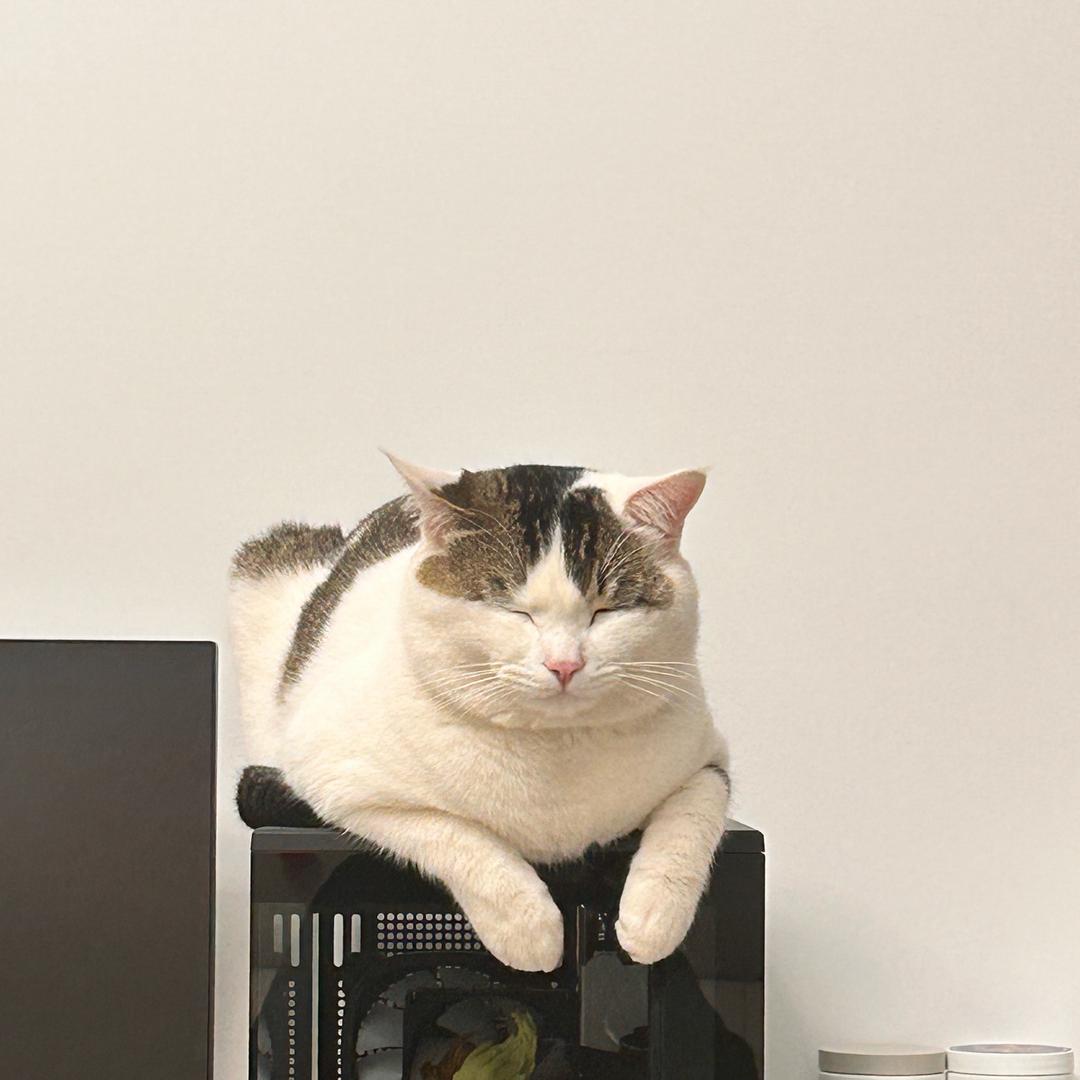 哈哈哈_