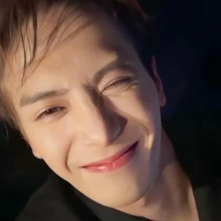 一只猫的旅行 *