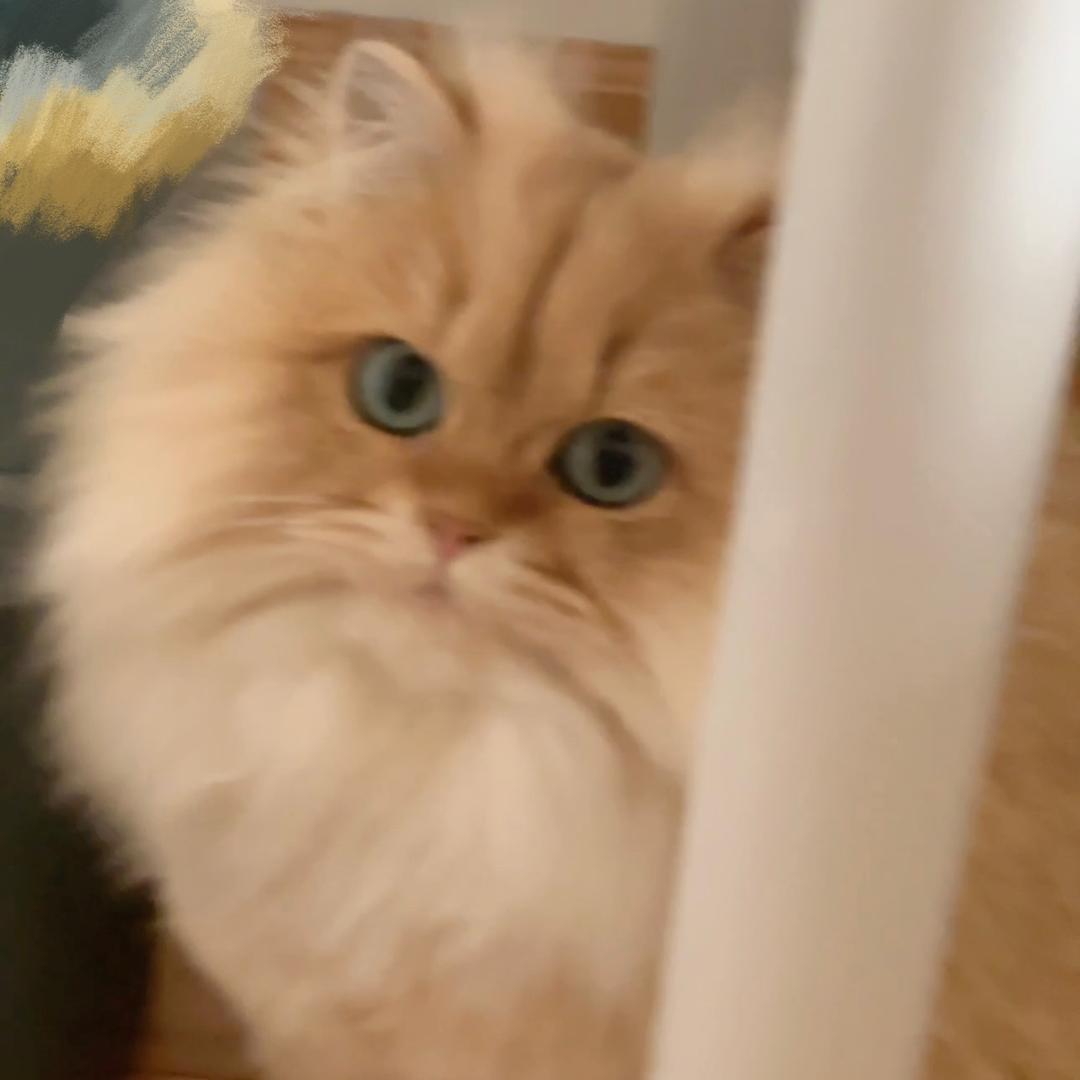 跳krump的绿巨人