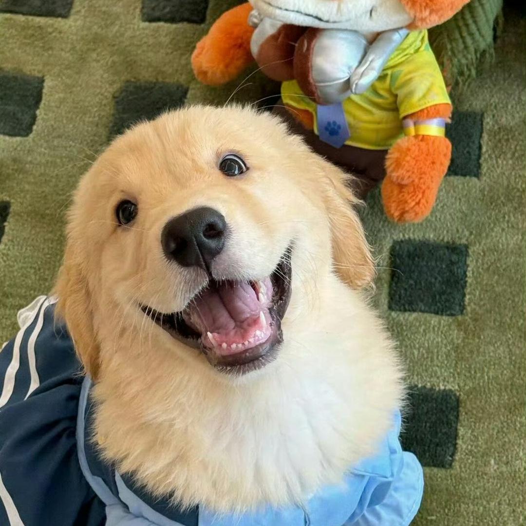 我超爱吃烧饼的